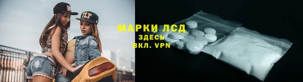 PSILOCYBIN Армянск