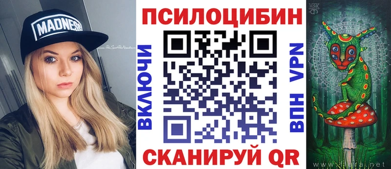 закладки  Сычёвка  Псилоцибиновые грибы прущие грибы 